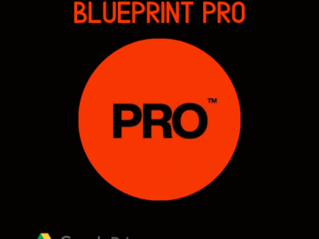 BlueprintPRO - BrandsDecoded